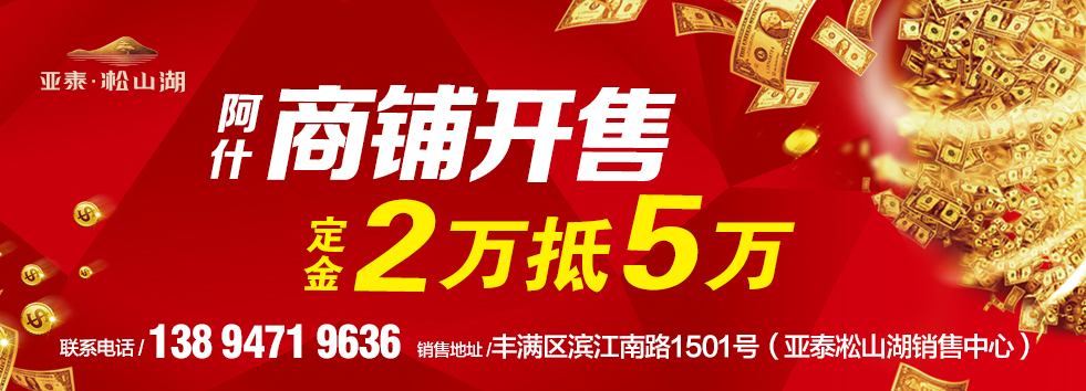 阿什商铺开售，定金2万抵5万